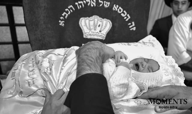 ברית מילה - תמונה 14